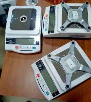 Maxtron Instruments - Retailers of Precision Jewellery Balance in Delhi, 