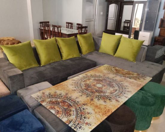 Modern Sofa Repair and New Sofa