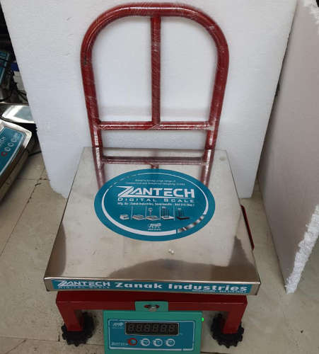 Electronic Platform Scale