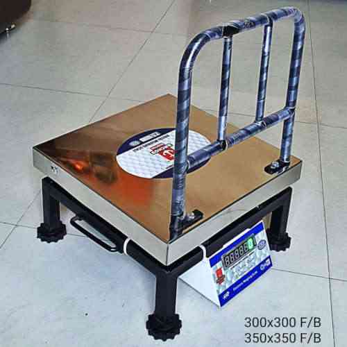 Multi-purpose SS Weighing Machine