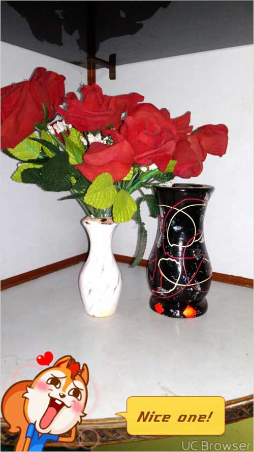 Flower Pots, Pen Stand, Photo Frames and Ash tray