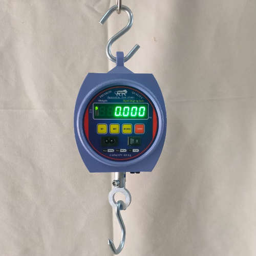 100 Kg Hanging Scale