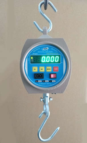 100 Kg Digital Hanging Scale