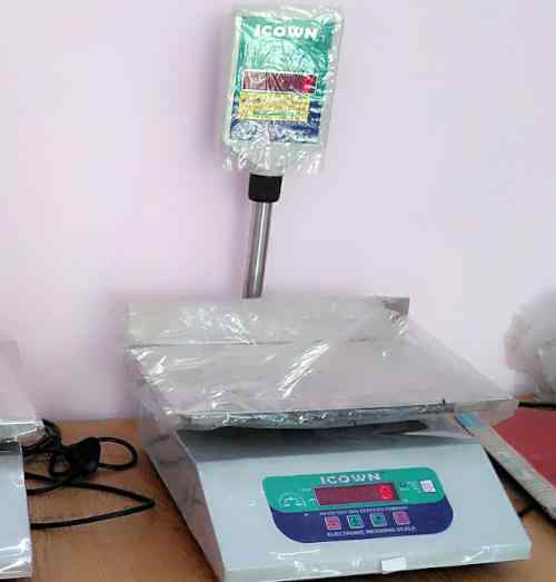 Sharma Electronics System - Wholesale Supplier of Platform Scale Suppliers in Noida, Uttar Pradesh,