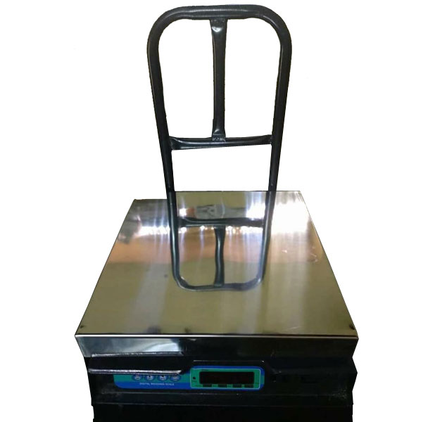 Mars Digital Scales & Systems - Manufacturers, Exporters of Stainless Steel Platform Scales in Delhi, 