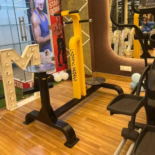 Classic Sports - Manufacturers of Indoor Health Club in Meerut, Uttar Pradesh,