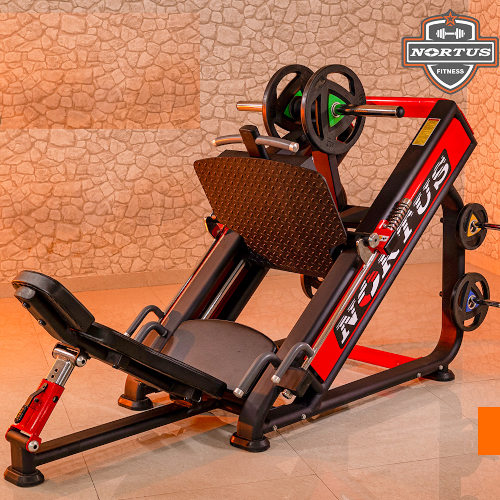 Yorks Body Fitness Equipment - Manufacturers, Exporters of Gym Equipment in Bahadurgarh, Haryana,