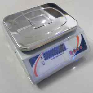 Heavy Duty Platform Weighing Scale in Pune
