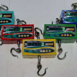 200 Kg Hanging Scale