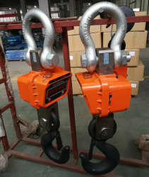 5 Ton Crane Scale