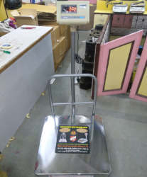 300 Kg SS Platform Scale