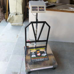 200 Kg SS Platform Scales