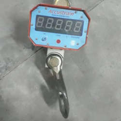 Accustrain Crane Scale