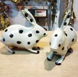 Brass Rabbit Pair for Feng Shui