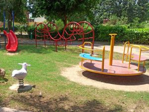 Park Playground Equipment