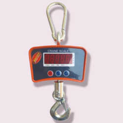 Zantech Hanging Scale
