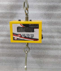 200 Kg Hanging Scale