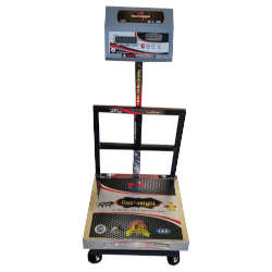 100 Kg Platform Weighing Scale