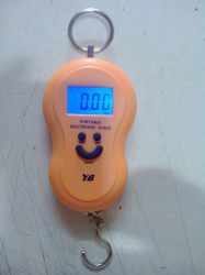 Hanging Scale