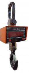 Crane Weighing Balance