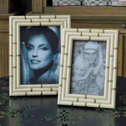 Horn Bone Photo Frame