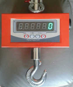 200 Kg Hanging Scale