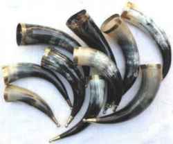 Horn Crafts