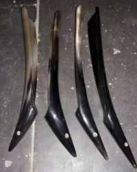 Horn Craft in 