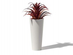 FRP Planters in 