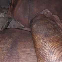 Satija Rubber Chemical, <br />
<b>Warning</b>:  Undefined array key 