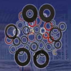 Rubber Gasket in 