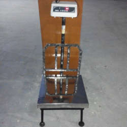 300 Kg SS Platform Weight Machine