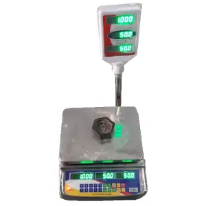 Precision Electronic Weighing Scale in Mumbai