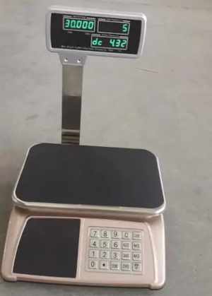 Precision Jewellery Weighing Scale in Nagpur