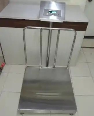 Washdown Platform Weighing Scale upto 200 Kg in Mumbai