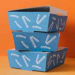Packaging Corrugated Boxes with Custom Printing in Ahmedabad